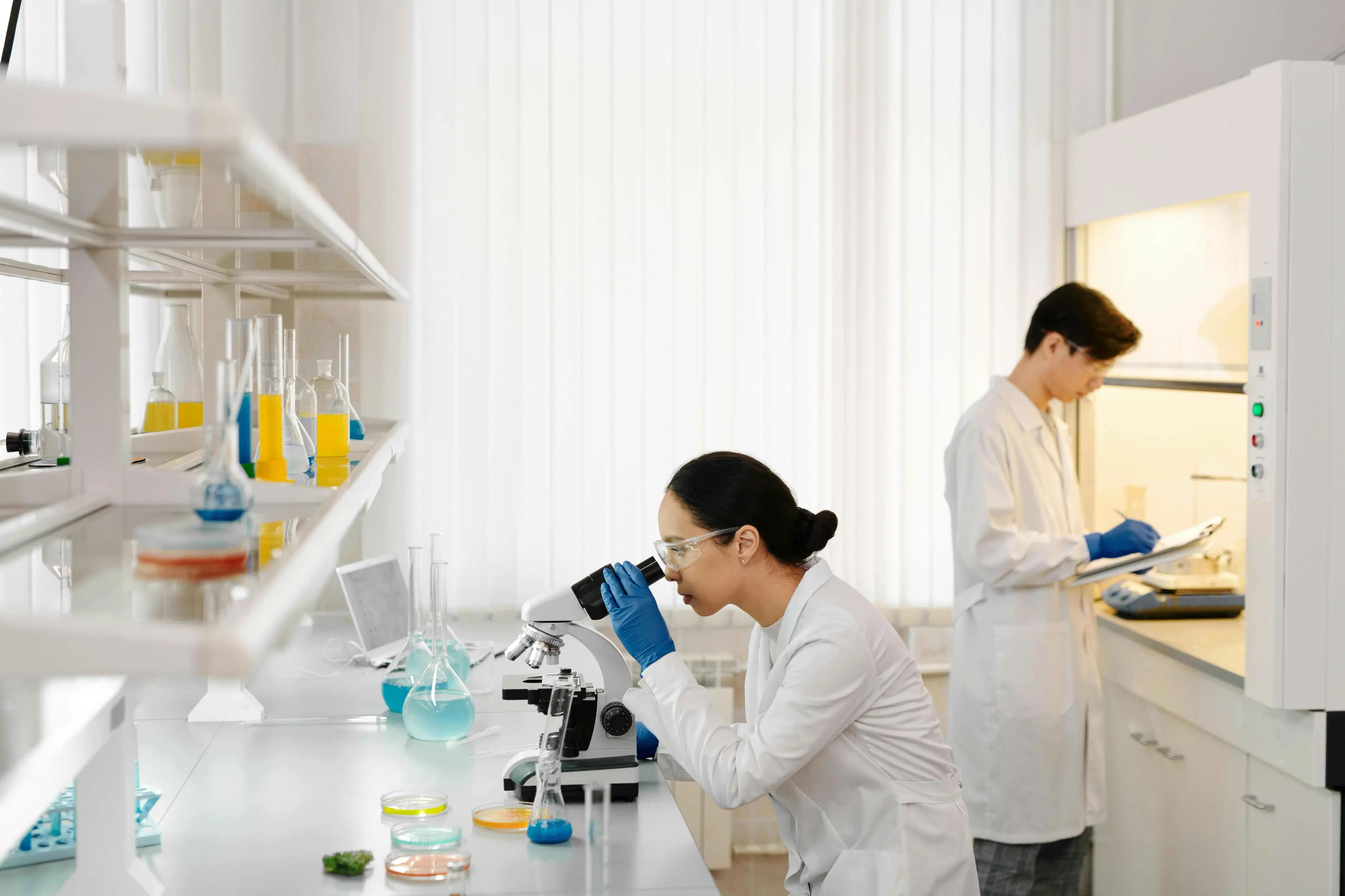 Lab management software options: how to choose the right approach